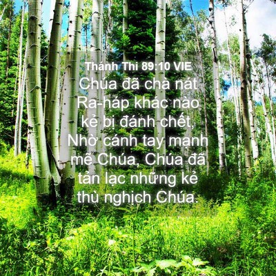 Picture 04 - Thánh Thi 89:10 VIE - Chúa đã chà nát Ra-háp khác nào kẻ bị - Bible Verse Picture