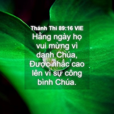 Picture 04 - Thánh Thi 89:16 VIE - Hằng ngày họ vui mừng vì danh Chúa, - Bible Verse Picture