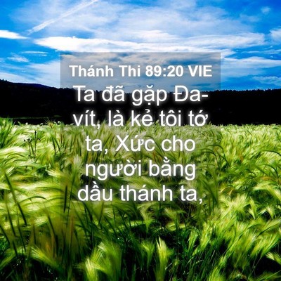 Picture 04 - Thánh Thi 89:20 VIE - Ta đã gặp Đa-vít, là kẻ tôi tớ ta, - Bible Verse Picture