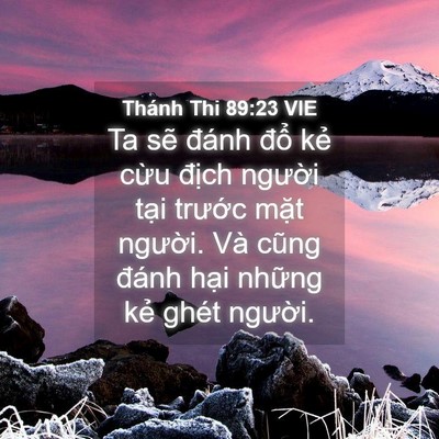 Picture 04 - Thánh Thi 89:23 VIE - Ta sẽ đánh đổ kẻ cừu địch người - Bible Verse Picture