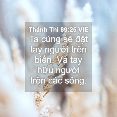 Picture 04 - Thánh Thi 89:25 VIE - Ta cũng sẽ đặt tay người trên biển, - Bible Verse Picture