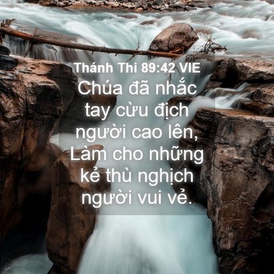 Picture 04 - Thánh Thi 89:42 VIE - Chúa đã nhắc tay cừu địch người cao - Bible Verse Picture