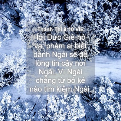 Picture 04 - Thánh Thi 9:10 VIE - Hỡi Đức Giê-hô-va, phàm ai biết danh - Bible Verse Picture