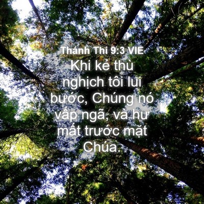 Picture 04 - Thánh Thi 9:3 VIE - Khi kẻ thù nghịch tôi lui bước, Chúng - Bible Verse Picture