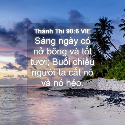 Picture 04 - Thánh Thi 90:6 VIE - Sáng ngày cỏ nở bông và tốt tươi; - Bible Verse Picture