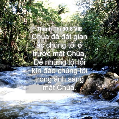 Picture 04 - Thánh Thi 90:8 VIE - Chúa đã đặt gian ác chúng tôi ở - Bible Verse Picture
