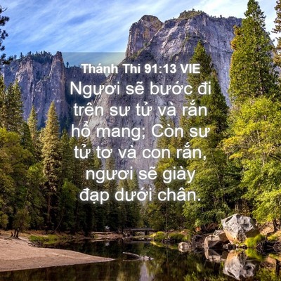 Picture 04 - Thánh Thi 91:13 VIE - Ngươi sẽ bước đi trên sư tử và rắn - Bible Verse Picture