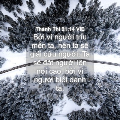 Picture 04 - Thánh Thi 91:14 VIE - Bởi vì người tríu mến ta, nên ta sẽ - Bible Verse Picture