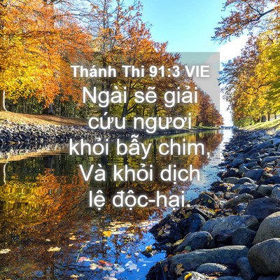 Picture 04 - Thánh Thi 91:3 VIE - Ngài sẽ giải cứu ngươi khỏi bẫy - Bible Verse Picture