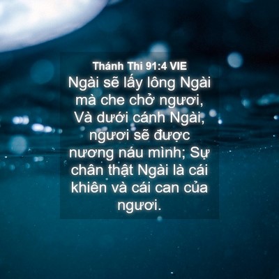 Picture 04 - Thánh Thi 91:4 VIE - Ngài sẽ lấy lông Ngài mà che chở - Bible Verse Picture