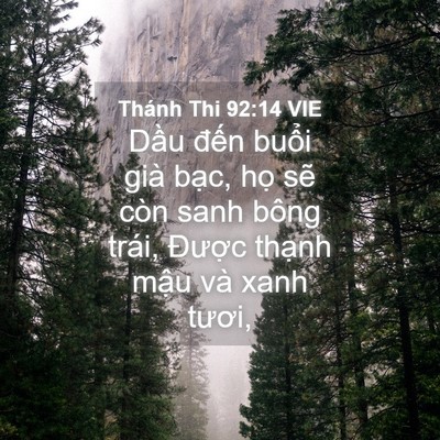 Picture 04 - Thánh Thi 92:14 VIE - Dầu đến buổi già bạc, họ sẽ còn - Bible Verse Picture