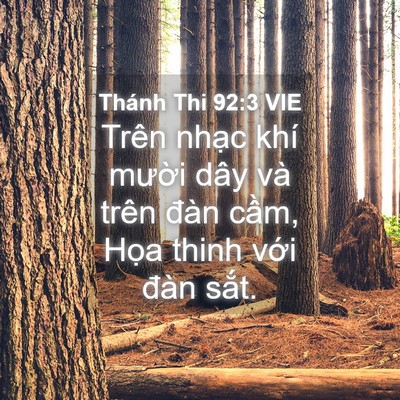 Picture 04 - Thánh Thi 92:3 VIE - Trên nhạc khí mười dây và trên đàn - Bible Verse Picture