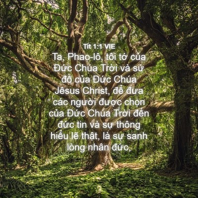 Picture 04 - Tít 1:1 VIE - Ta, Phao-lô, tôi tớ của Đức Chúa Trời - Bible Verse Picture