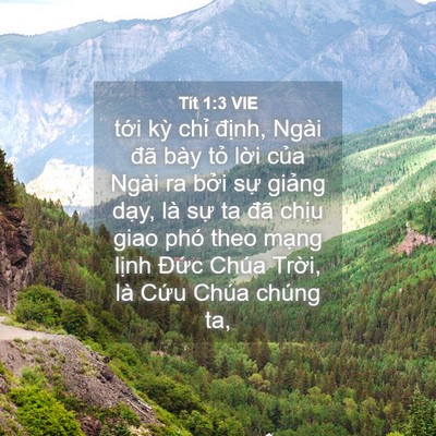 Picture 04 - Tít 1:3 VIE - tới kỳ chỉ định, Ngài đã bày tỏ - Bible Verse Picture
