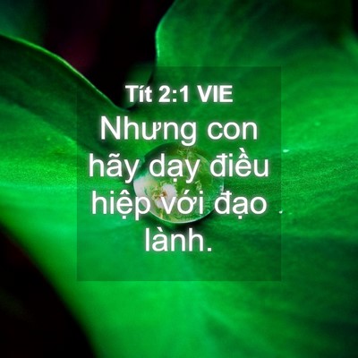 Picture 04 - Tít 2:1 VIE - Nhưng con hãy dạy điều hiệp với đạo - Bible Verse Picture