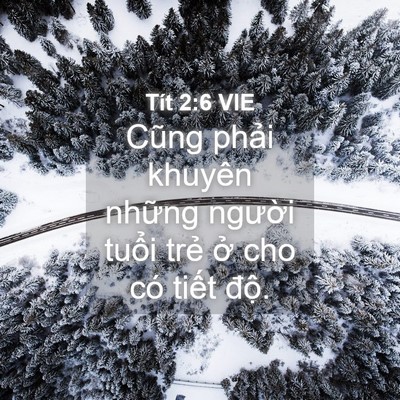 Picture 04 - Tít 2:6 VIE - Cũng phải khuyên những người tuổi - Bible Verse Picture