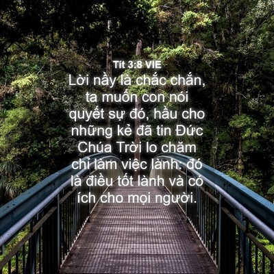 Picture 04 - Tít 3:8 VIE - Lời nầy là chắc chắn, ta muốn con nói - Bible Verse Picture
