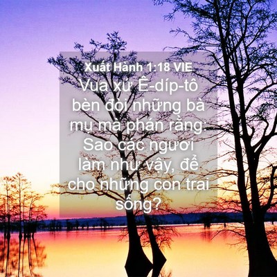 Picture 04 - Xuất Hành 1:18 VIE - Vua xứ Ê-díp-tô bèn đòi những bà mụ - Bible Verse Picture