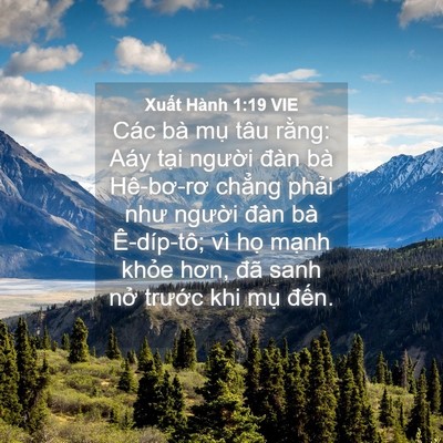 Picture 04 - Xuất Hành 1:19 VIE - Các bà mụ tâu rằng: Aáy tại người - Bible Verse Picture