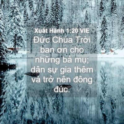 Picture 04 - Xuất Hành 1:20 VIE - Đức Chúa Trời ban ơn cho những bà mụ; - Bible Verse Picture