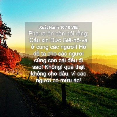 Picture 04 - Xuất Hành 10:10 VIE - Pha-ra-ôn bèn nói rằng: Cầu xin Đức - Bible Verse Picture
