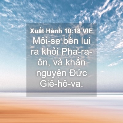 Picture 04 - Xuất Hành 10:18 VIE - Môi-se bèn lui ra khỏi Pha-ra-ôn, và khẩn - Bible Verse Picture