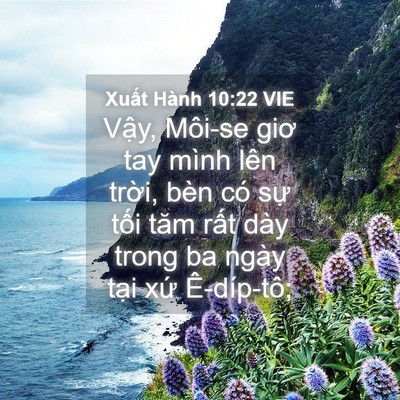 Picture 04 - Xuất Hành 10:22 VIE - Vậy, Môi-se giơ tay mình lên trời, bèn - Bible Verse Picture