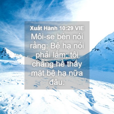 Picture 04 - Xuất Hành 10:29 VIE - Môi-se bèn nói rằng: Bệ hạ nói phải - Bible Verse Picture