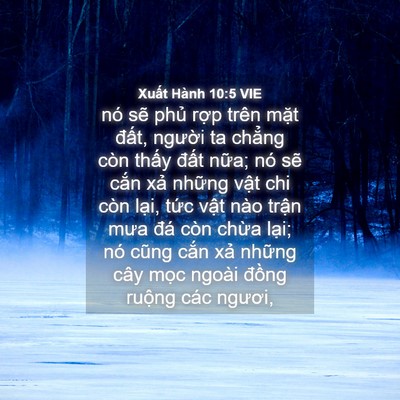 Picture 04 - Xuất Hành 10:5 VIE - nó sẽ phủ rợp trên mặt đất, người - Bible Verse Picture