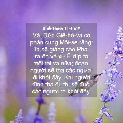 Picture 04 - Xuất Hành 11:1 VIE - Vả, Đức Giê-hô-va có phán cùng Môi-se - Bible Verse Picture