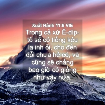 Picture 04 - Xuất Hành 11:6 VIE - Trong cả xứ Ê-díp-tô sẽ có tiếng kêu - Bible Verse Picture