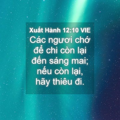 Picture 04 - Xuất Hành 12:10 VIE - Các ngươi chớ để chi còn lại đến - Bible Verse Picture