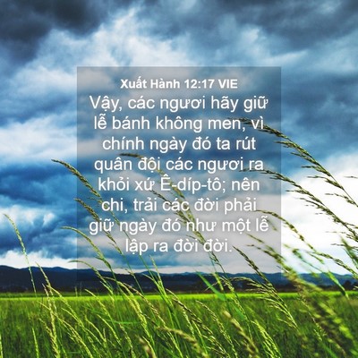 Picture 04 - Xuất Hành 12:17 VIE - Vậy, các ngươi hãy giữ lễ bánh không - Bible Verse Picture