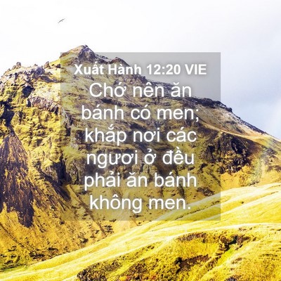Picture 04 - Xuất Hành 12:20 VIE - Chớ nên ăn bánh có men; khắp nơi các - Bible Verse Picture
