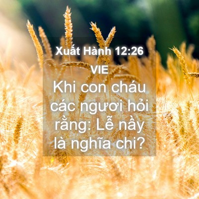 Picture 04 - Xuất Hành 12:26 VIE - Khi con cháu các ngươi hỏi rằng: Lễ - Bible Verse Picture