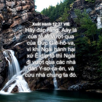 Picture 04 - Xuất Hành 12:27 VIE - Hãy đáp rằng: Aáy là của tế lễ - Bible Verse Picture