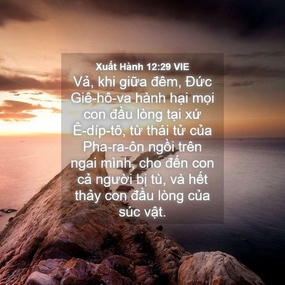 Picture 04 - Xuất Hành 12:29 VIE - Vả, khi giữa đêm, Đức Giê-hô-va hành - Bible Verse Picture