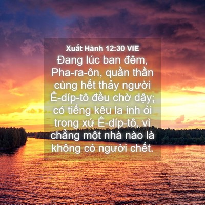 Picture 04 - Xuất Hành 12:30 VIE - Đang lúc ban đêm, Pha-ra-ôn, quần thần - Bible Verse Picture
