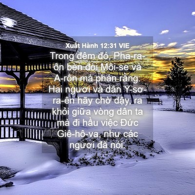 Picture 04 - Xuất Hành 12:31 VIE - Trong đêm đó, Pha-ra-ôn bèn đòi Môi-se - Bible Verse Picture