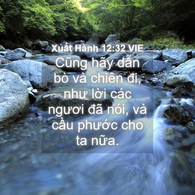 Picture 04 - Xuất Hành 12:32 VIE - Cũng hãy dẫn bò và chiên đi, như lời - Bible Verse Picture