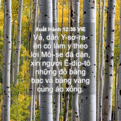 Picture 04 - Xuất Hành 12:35 VIE - Vả, dân Y-sơ-ra-ên có làm y theo lời - Bible Verse Picture