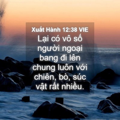 Picture 04 - Xuất Hành 12:38 VIE - Lại có vô số người ngoại bang đi lên - Bible Verse Picture