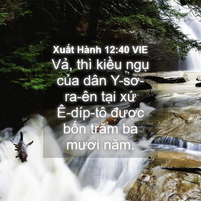 Picture 04 - Xuất Hành 12:40 VIE - Vả, thì kiều ngụ của dân Y-sơ-ra-ên - Bible Verse Picture