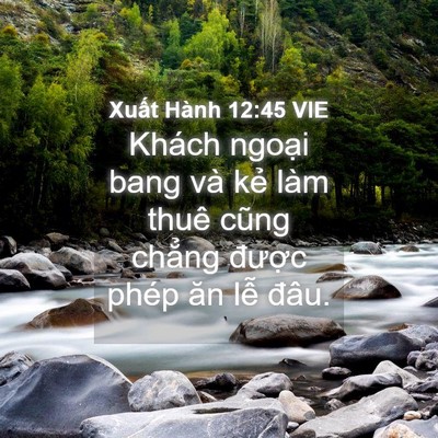 Picture 04 - Xuất Hành 12:45 VIE - Khách ngoại bang và kẻ làm thuê cũng - Bible Verse Picture