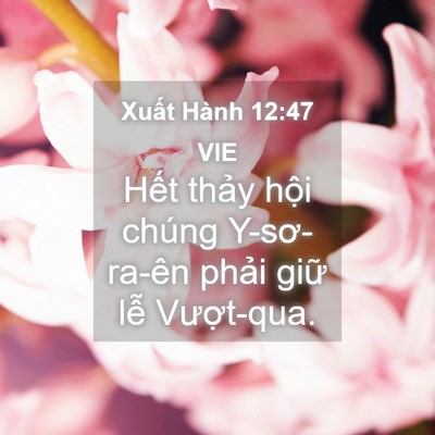 Picture 04 - Xuất Hành 12:47 VIE - Hết thảy hội chúng Y-sơ-ra-ên phải - Bible Verse Picture