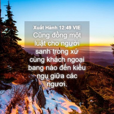 Picture 04 - Xuất Hành 12:49 VIE - Cũng đồng một luật cho người sanh - Bible Verse Picture