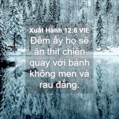 Picture 04 - Xuất Hành 12:8 VIE - Đêm ấy họ sẽ ăn thịt chiên quay với - Bible Verse Picture