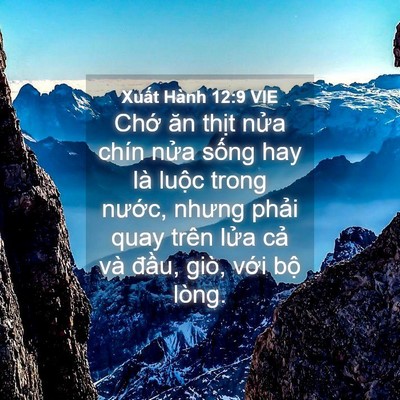 Picture 04 - Xuất Hành 12:9 VIE - Chớ ăn thịt nửa chín nửa sống hay là - Bible Verse Picture