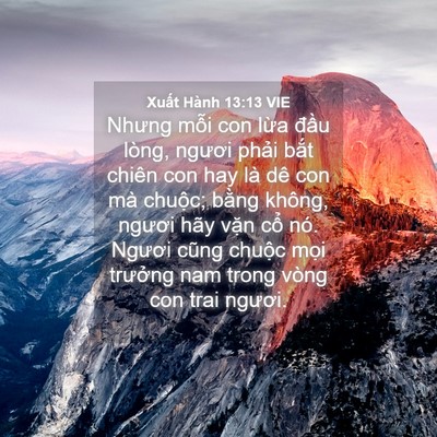 Picture 04 - Xuất Hành 13:13 VIE - Nhưng mỗi con lừa đầu lòng, ngươi - Bible Verse Picture