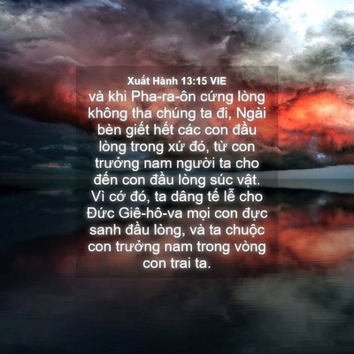 Picture 04 - Xuất Hành 13:15 VIE - và khi Pha-ra-ôn cứng lòng không tha chúng - Bible Verse Picture